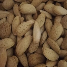 بادام مامایی باکیفیت + خرید و فروش به صرفه